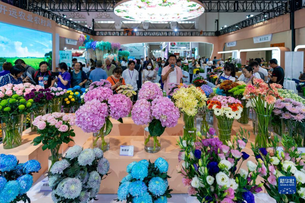 云顶娱乐7610.com